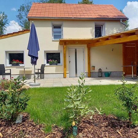 Ferienhaus Richtermuehle Sebnitz Esterno foto