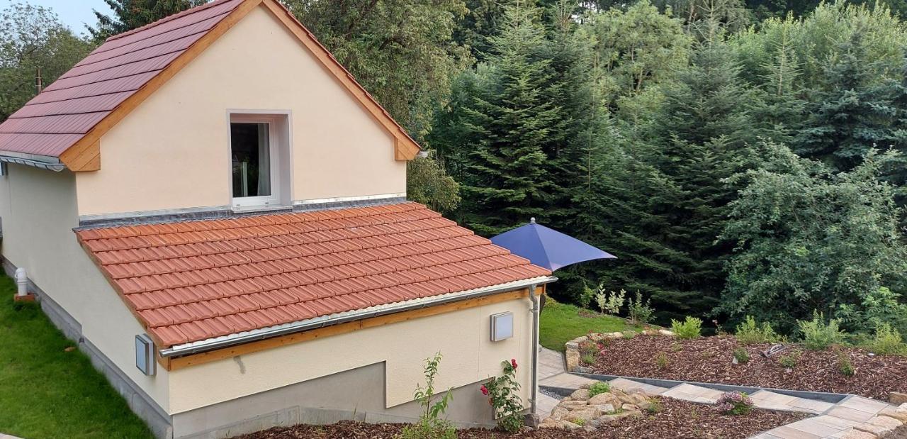 Ferienhaus Richtermuehle Sebnitz Esterno foto